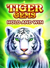 Tiger Gems Hold and Win لعبة سلوت مع نمر أبيض